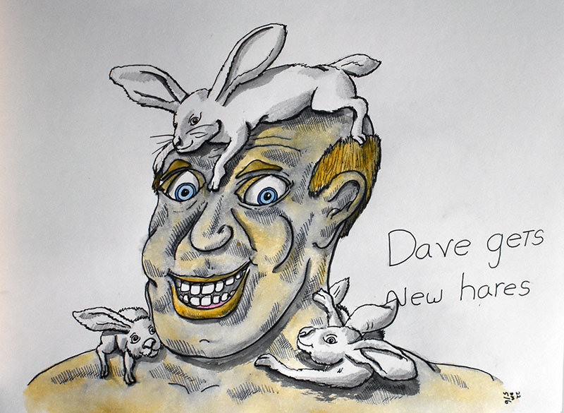 Image showing an art piece called Dave Gets New Hares by David Mielcarek on 20220506