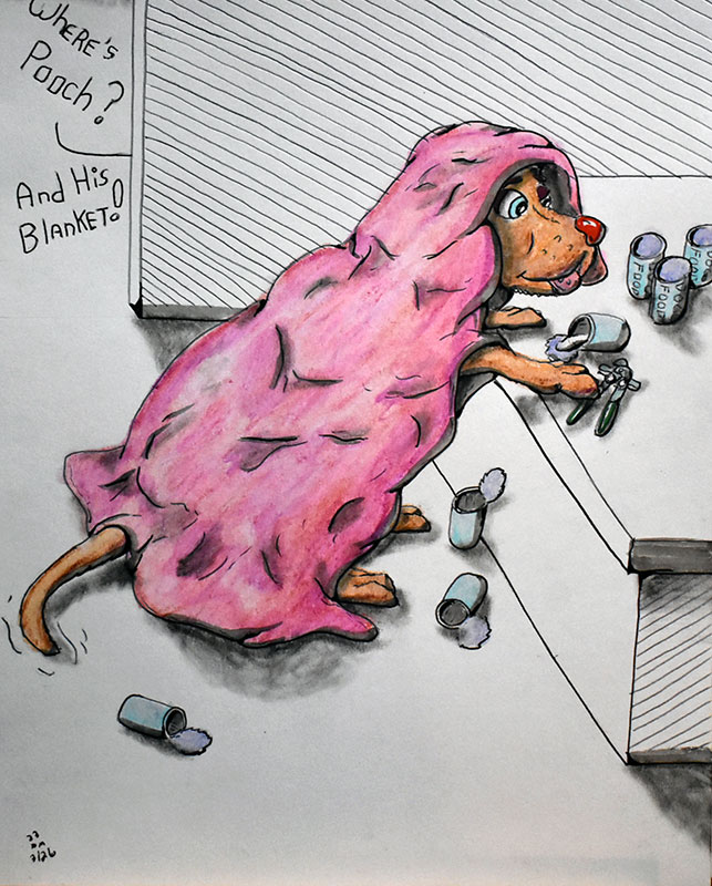 Image showing an art piece called Where's Pooch, And His Blanket? by David Mielcarek on 20230326