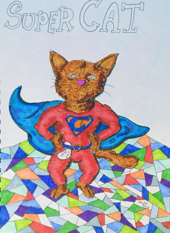 Image showing an art piece called Super Cat by David Mielcarek on 20200912