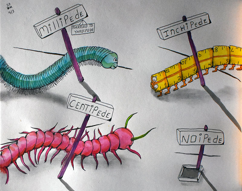 Image showing an art piece called Millipede, Centipede, Inchipede, Noipede by David Mielcarek on 20230903