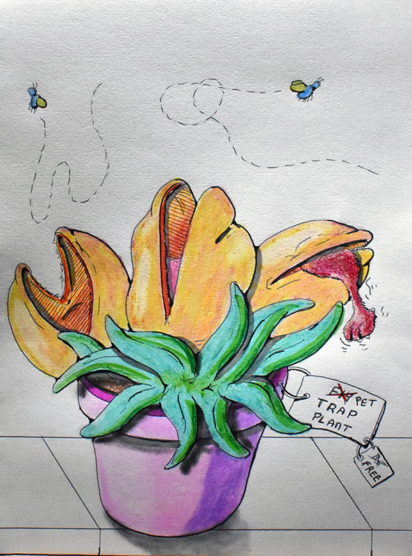 Image showing an art piece called Pet Trap Plant by David Mielcarek on 20250403